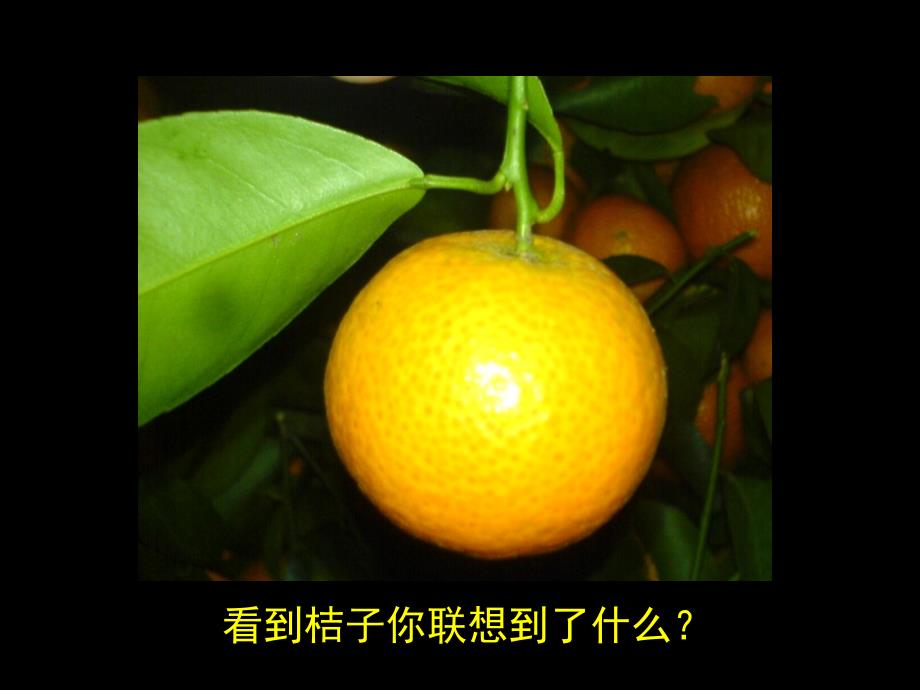 图形与联想_第1页