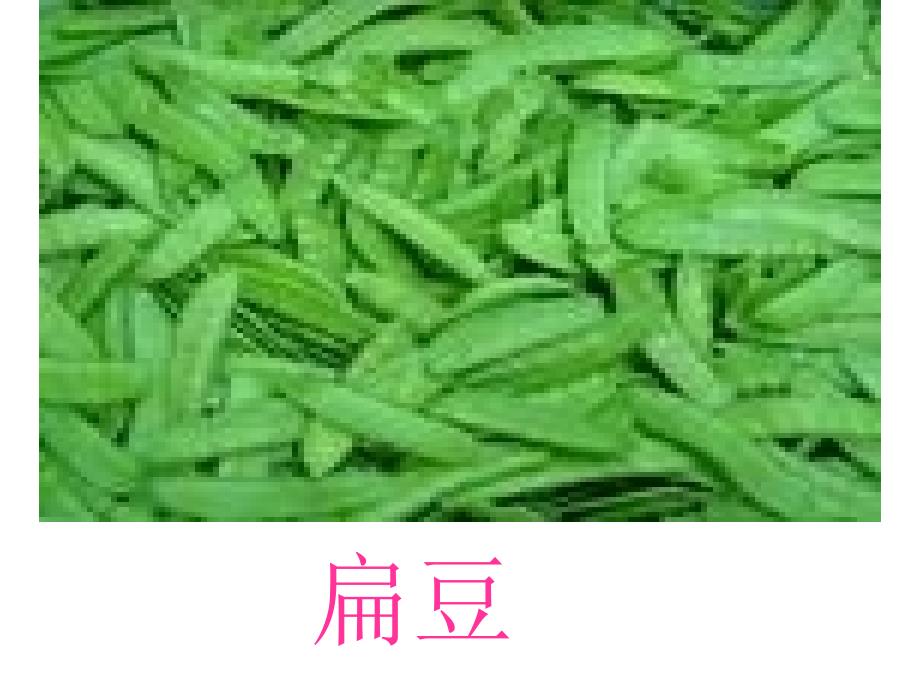 《豆儿圆》课件 (2)_第5页