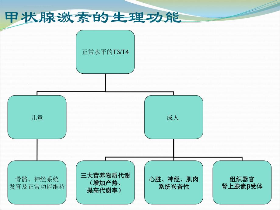 甲亢危象ppt课件_第3页