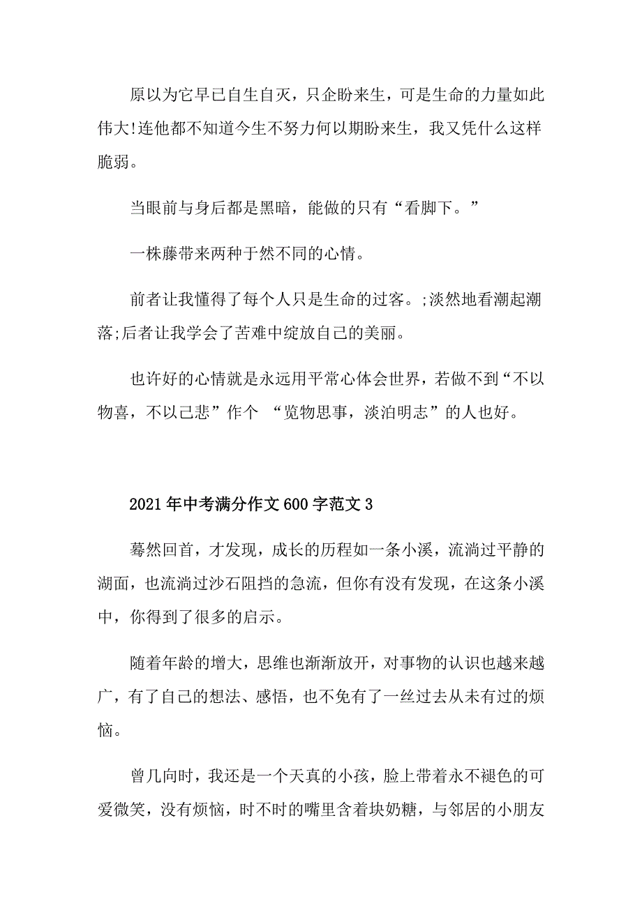 2021年中考满分作文600字范文5篇_第4页