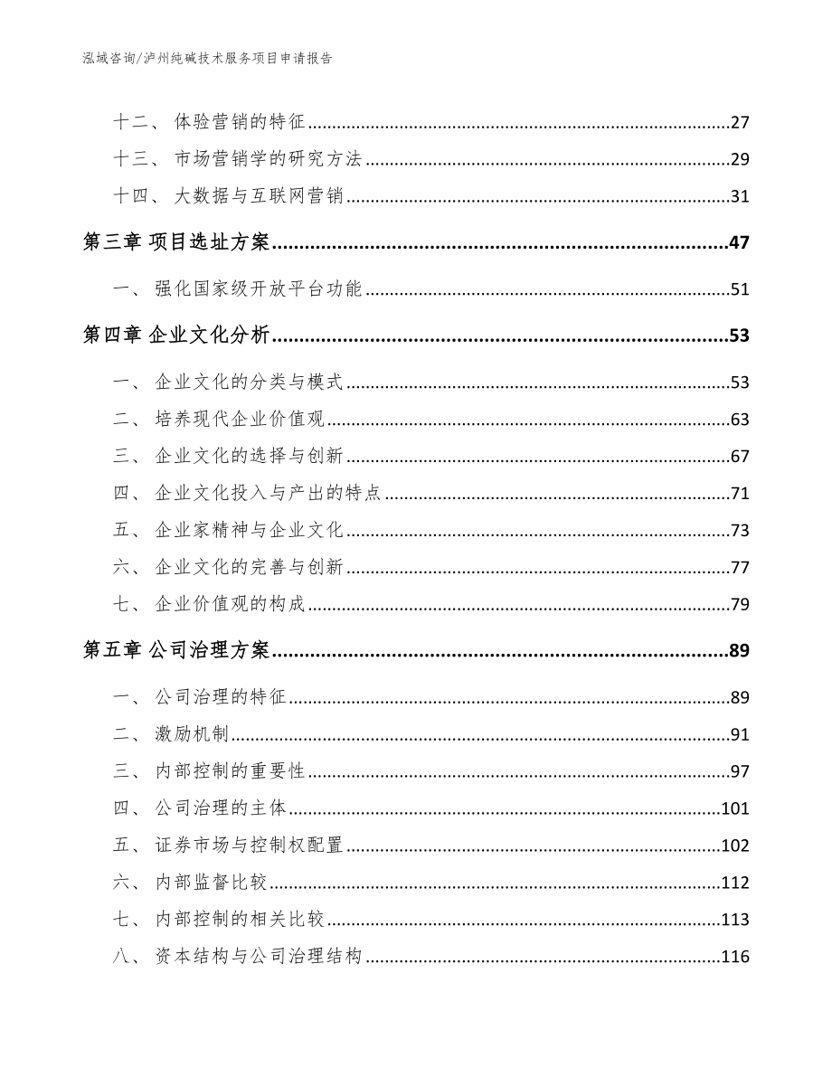 泸州纯碱技术服务项目申请报告（模板参考）_第4页