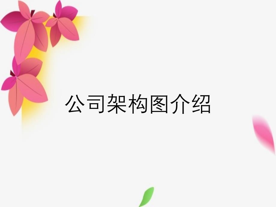 公司架构图介绍_第1页