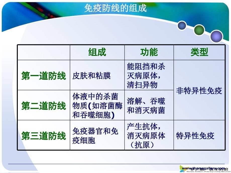 医学专题：人体免疫系统_第5页