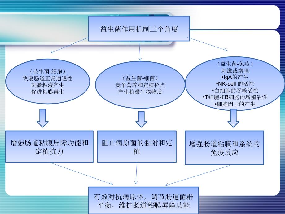 益生菌作用机制总结ppt参考课件_第2页