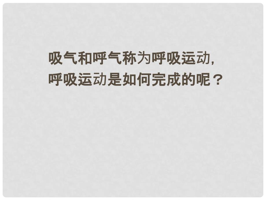 山东省青岛市城阳区第六中学七年级生物下册复习课件 新人教版_第2页