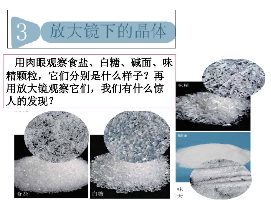 教科版科学六年级下册《放大镜下的晶体》_第1页