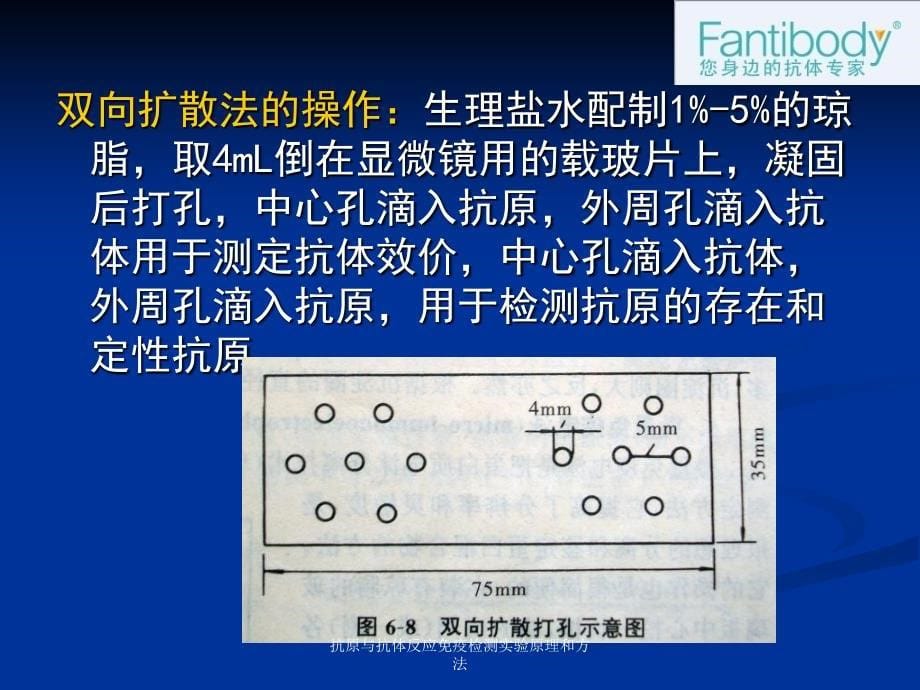 抗原与抗体反应免疫检测实验原理和方法_第5页