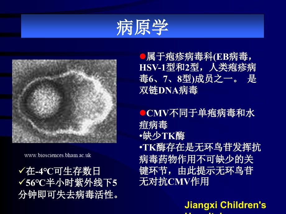 巨细胞病毒_第3页