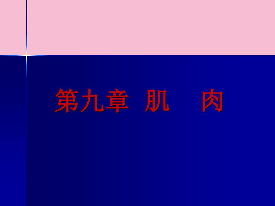 动物生理学肌肉ppt课件_第1页