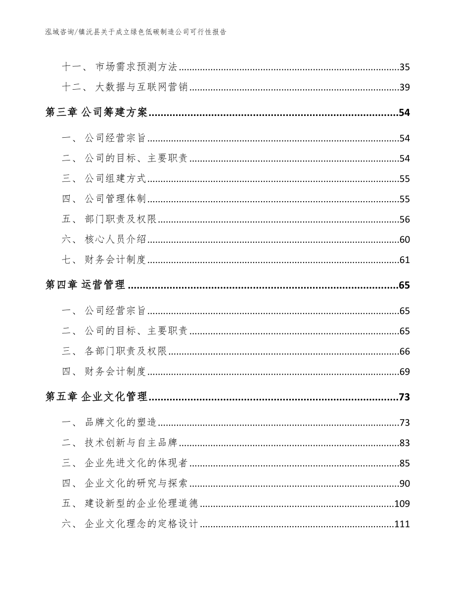 镇沅县关于成立绿色低碳制造公司可行性报告（参考范文）_第2页