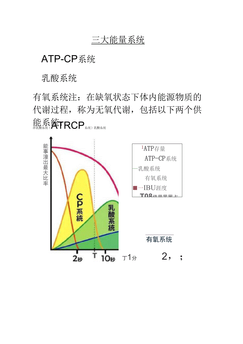 人体三大供能系统_第1页