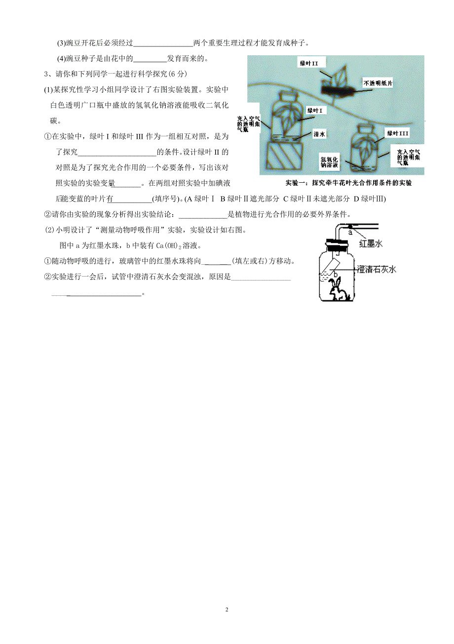 2013年春石板学区九年级第一学月考试试题及答案--生物_第2页