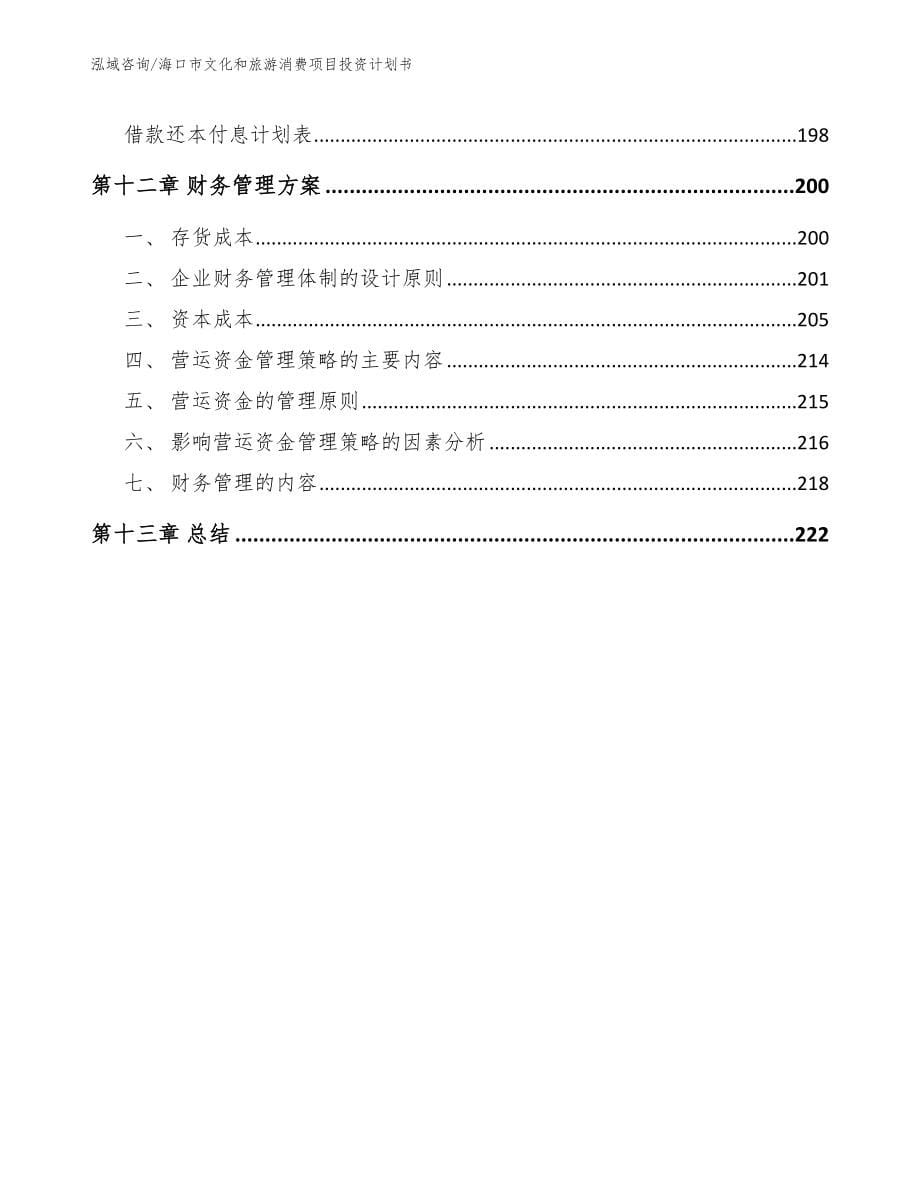 海口市文化和旅游消费项目投资计划书_第5页