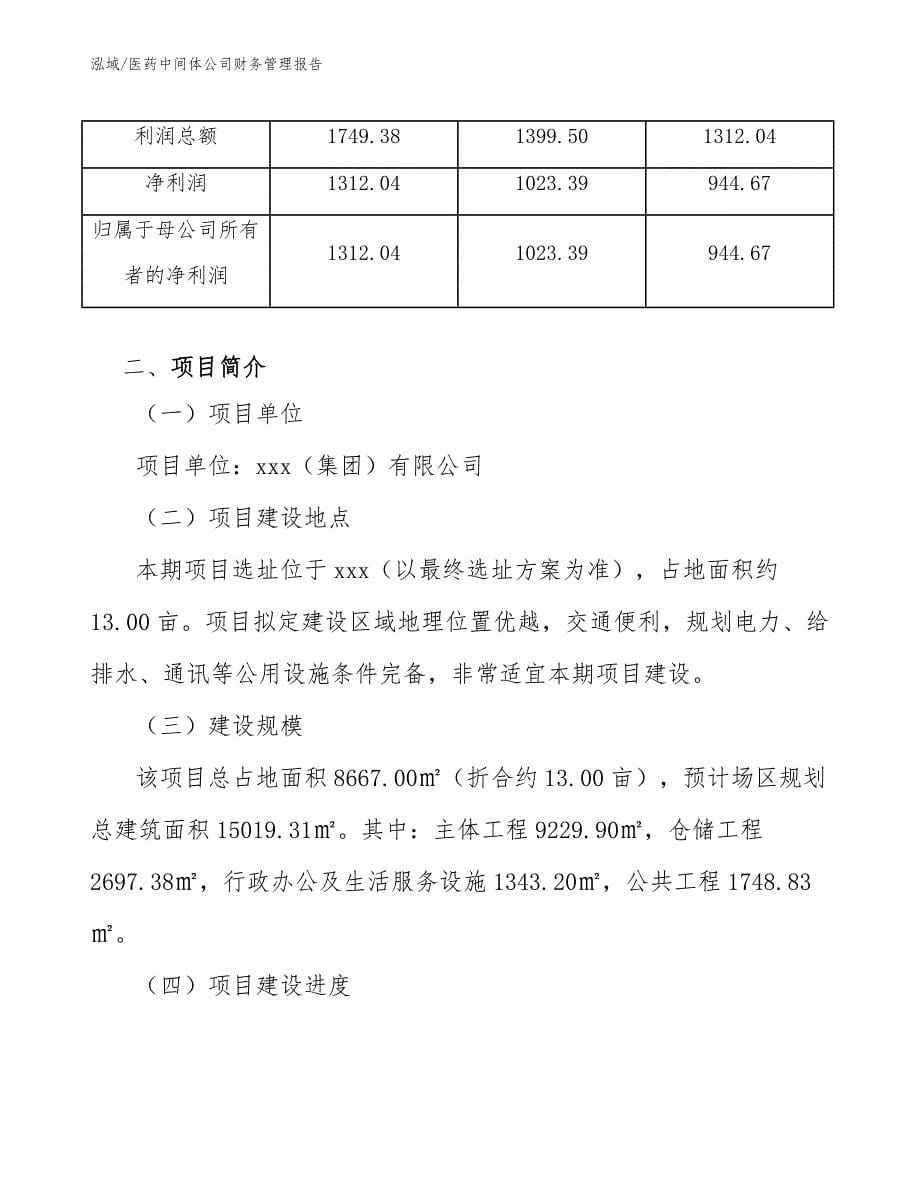 医药中间体公司财务管理报告_参考_第5页