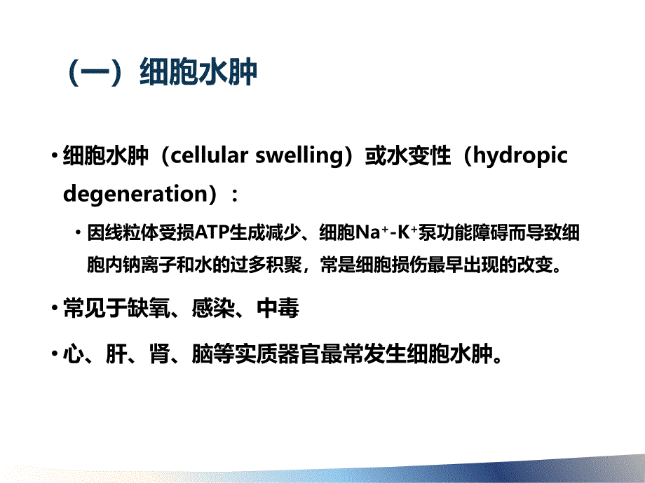 病理2损伤的形式与形态学变化精选文档_第3页