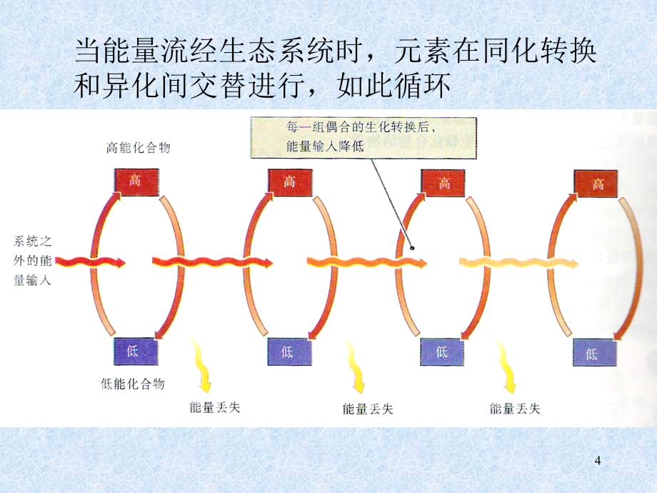 生态系统的物质循环_第4页