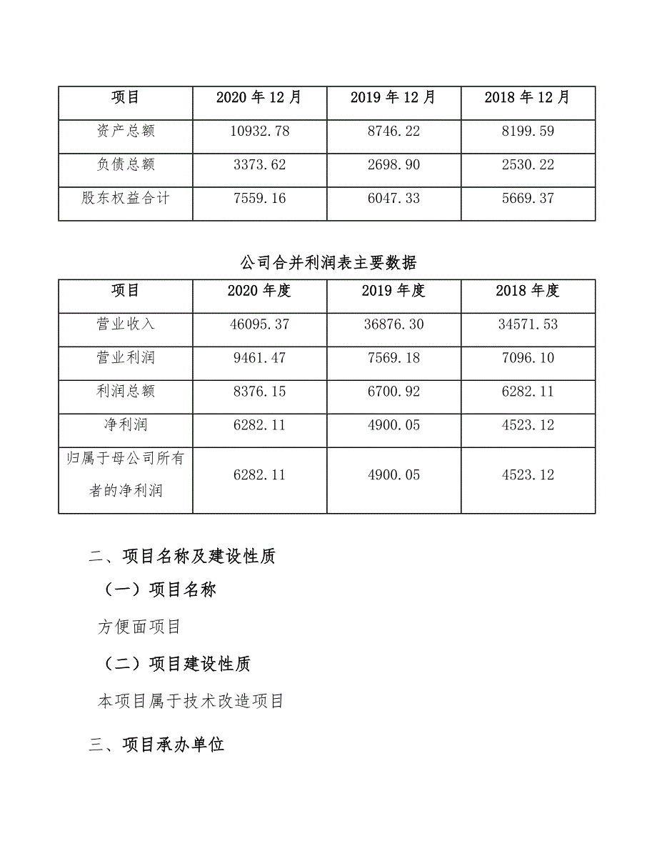 方便面项目规划设计方案_第4页