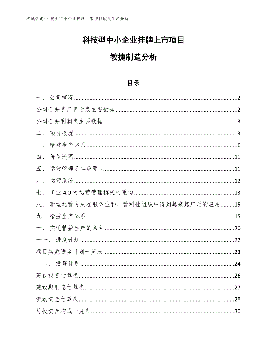 科技型中小企业挂牌上市项目敏捷制造分析（范文）_第1页