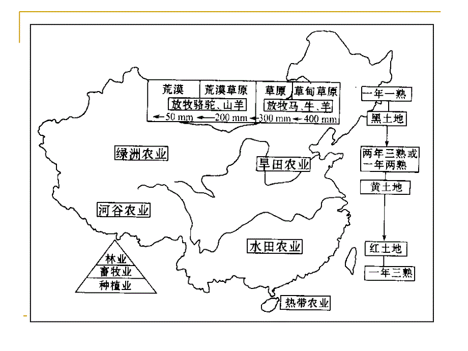 十一个毛泽东的故事_第4页