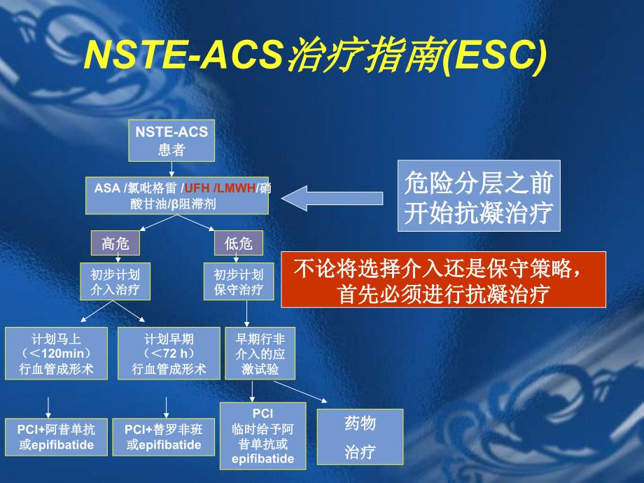 急诊PCI围手术期抗栓治疗_第3页