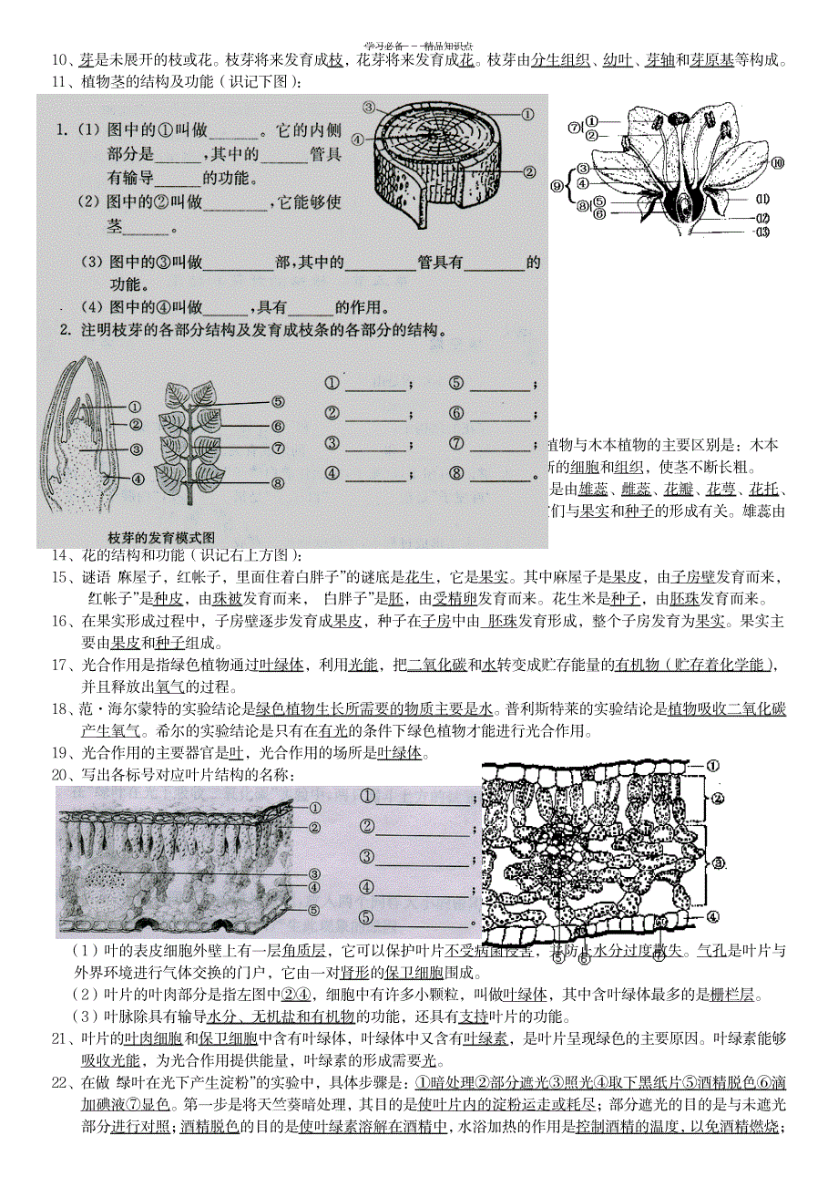 2023年苏教版七年级生物上学期知识点总结归纳全面汇总归纳_第3页