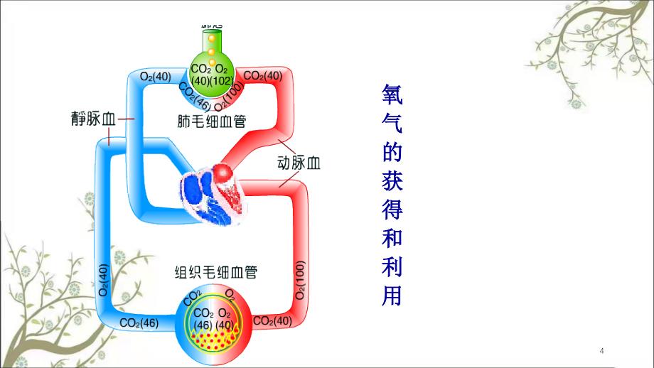 缺氧护理措施课件_第4页