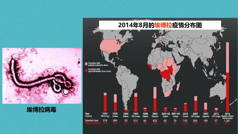 【人教版】2017年秋八年级生物上册55《病毒》教学课件_第2页