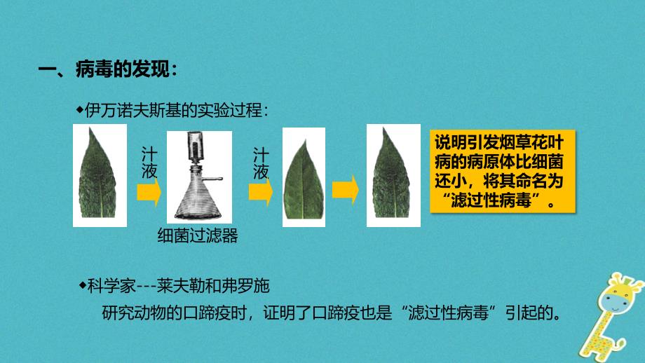 【人教版】2017年秋八年级生物上册55《病毒》教学课件_第3页