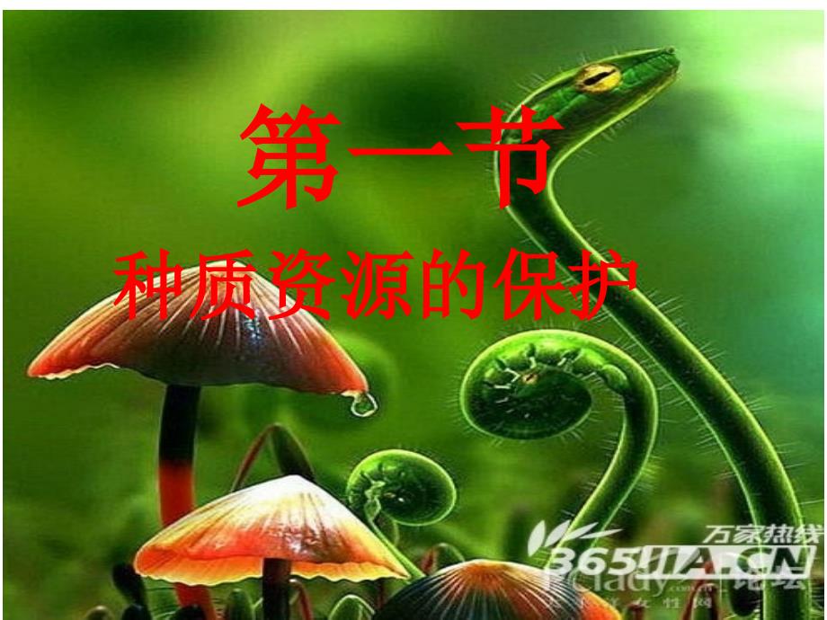 《种质资源的保护》PPT课件.ppt_第1页