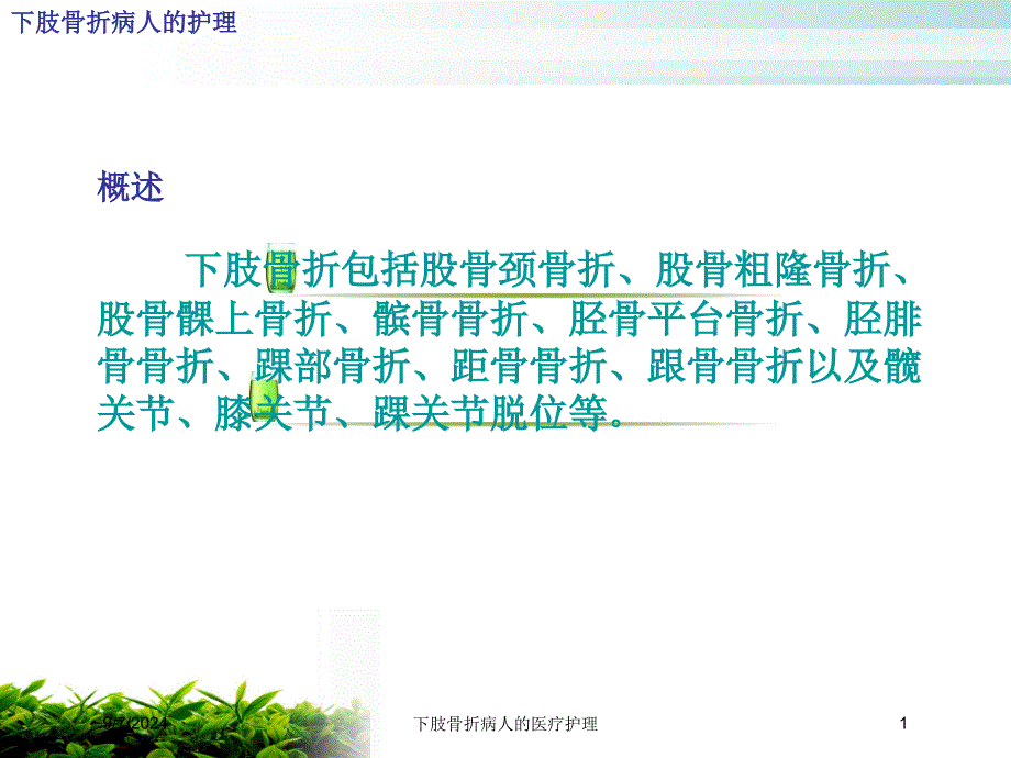 下肢骨折病人的医疗护理课件_第1页