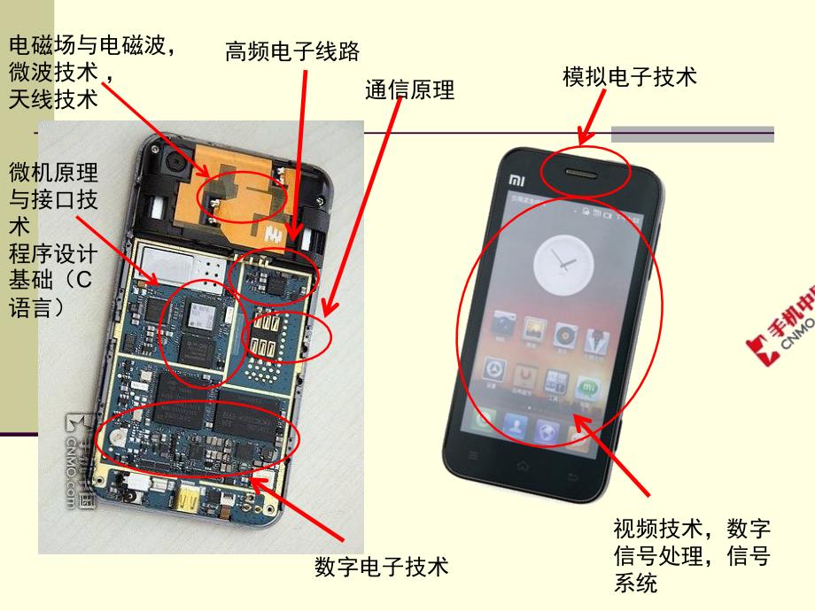 《专业英语特点》PPT课件.ppt_第2页