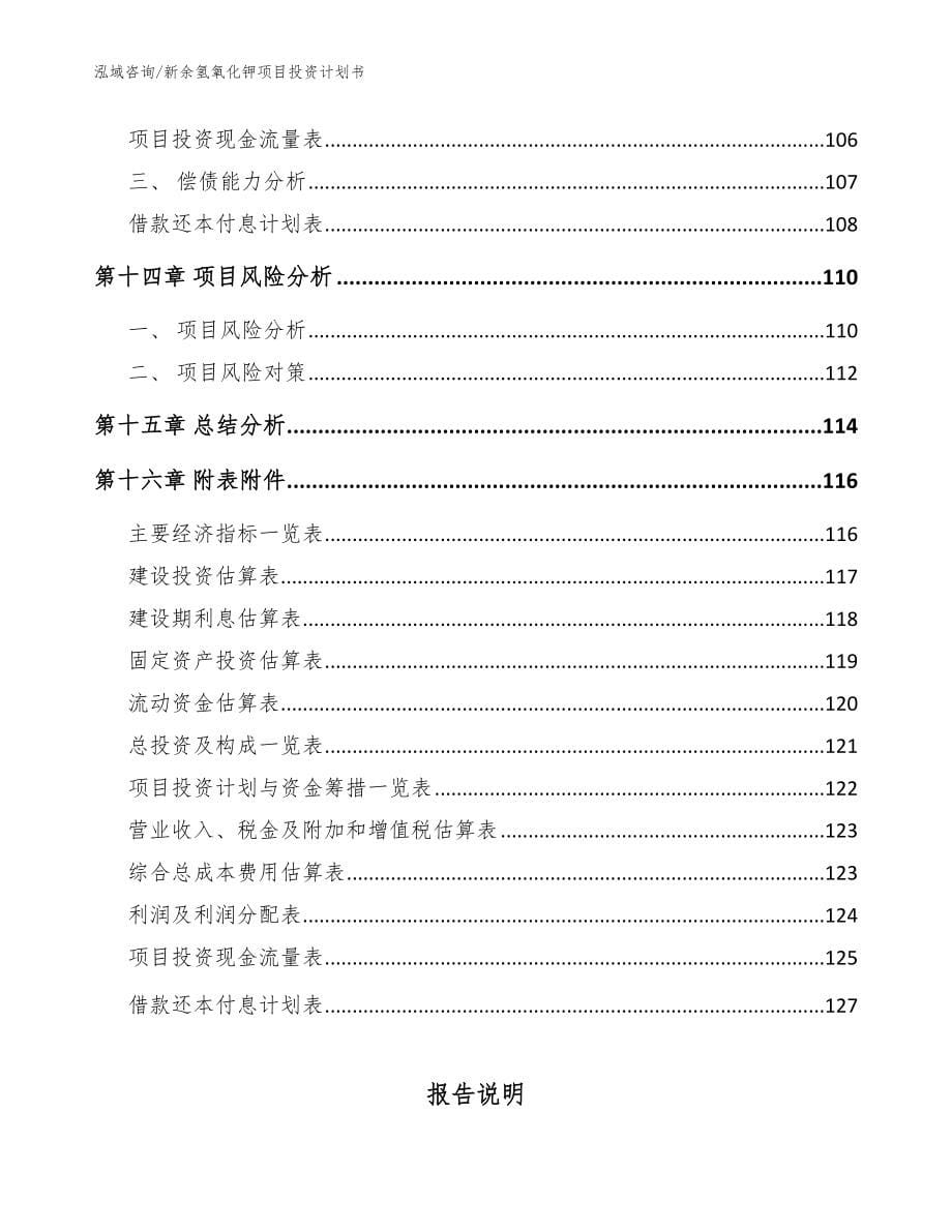 新余氢氧化钾项目投资计划书（参考范文）_第5页