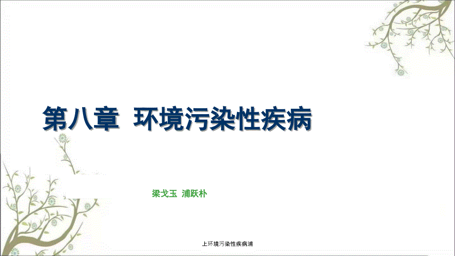 上环境污染性疾病浦_第1页