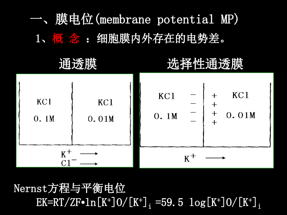 12细胞的生物电现象1_第3页