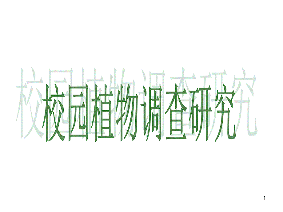 校园植物调查研究课堂PPT_第1页