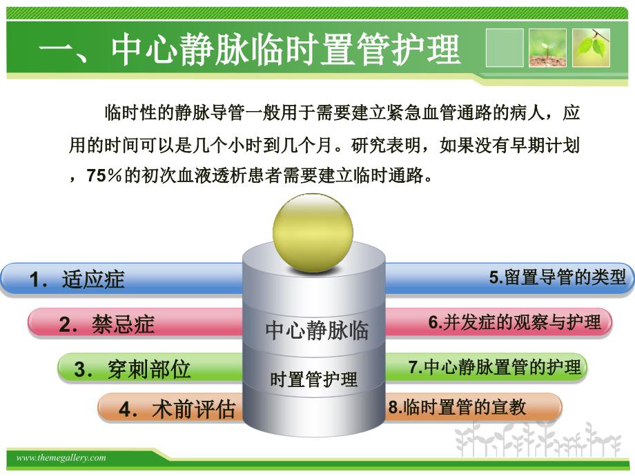 临时静脉导管护理_第2页