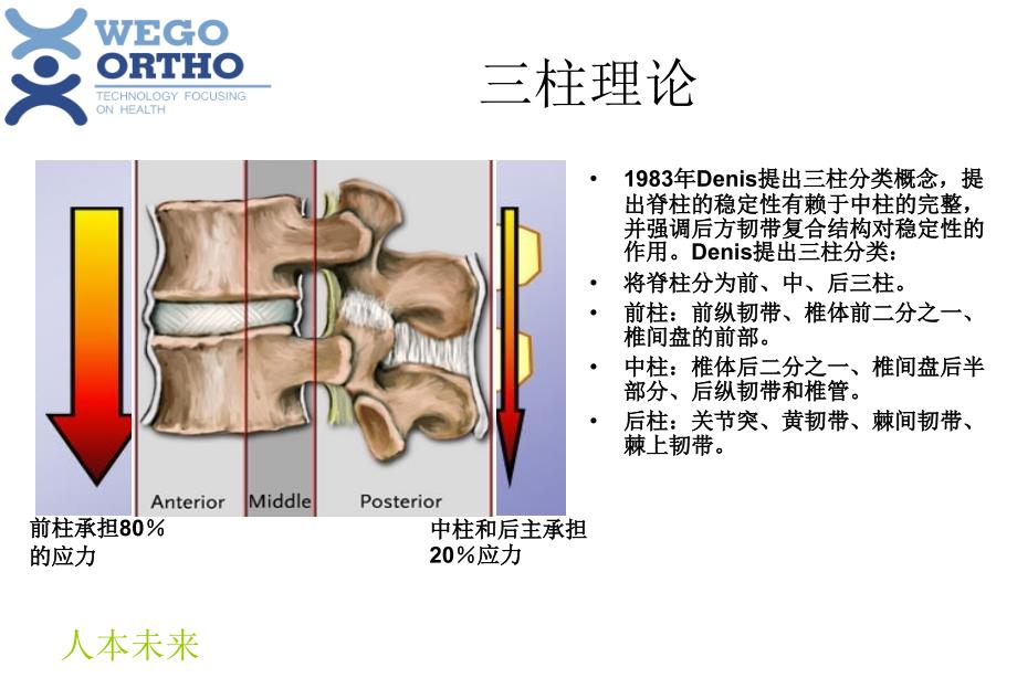 脊柱内固定原理介绍_第3页