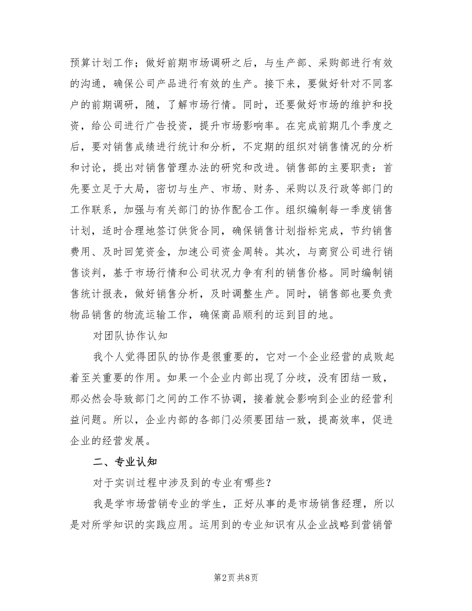 2022年市场营销经理个人总结_第2页