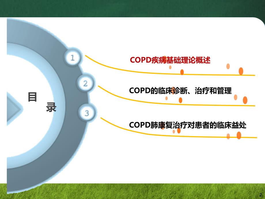 copd诊断治疗及肺康复管理_第2页