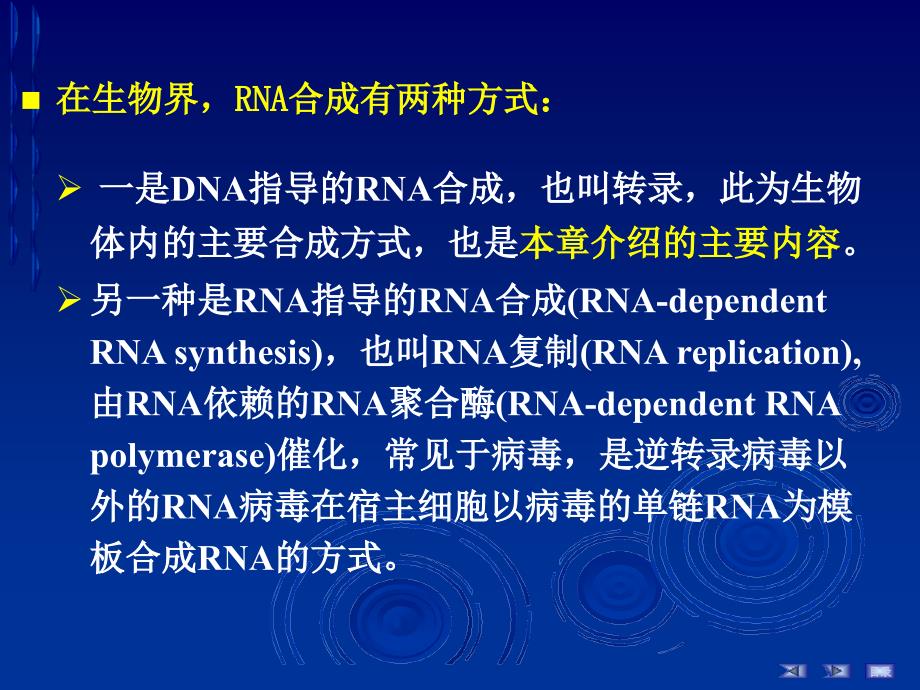 RNA的生物合成2_第1页