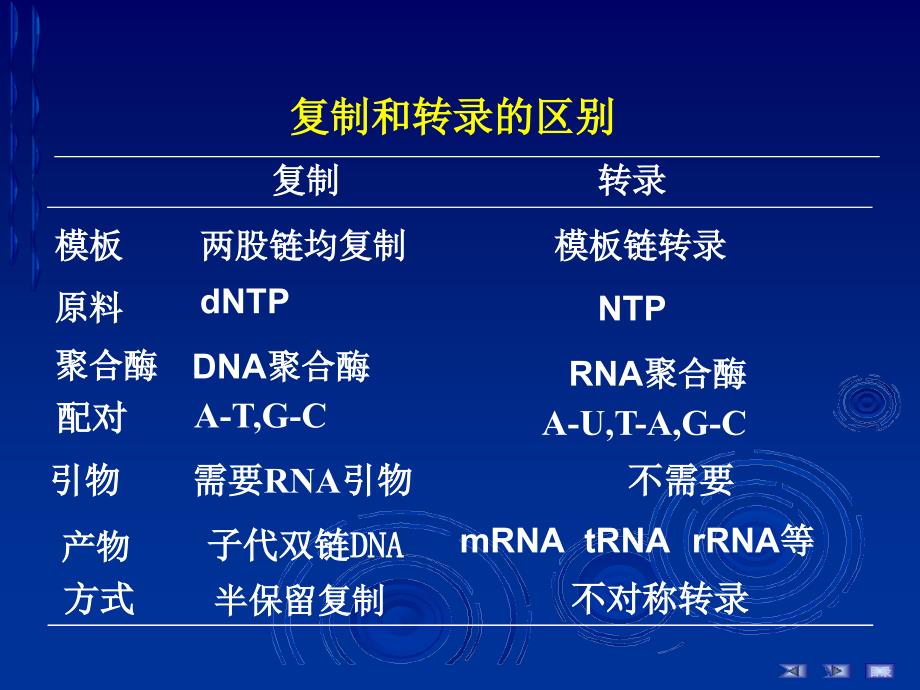 RNA的生物合成2_第4页