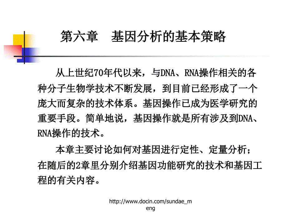 【大学课件】基因分析的基本策略_第1页