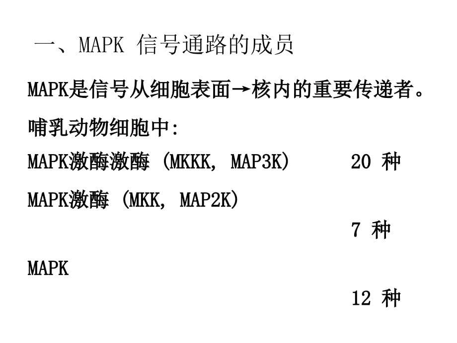 常见信号通路PPT课件_第5页