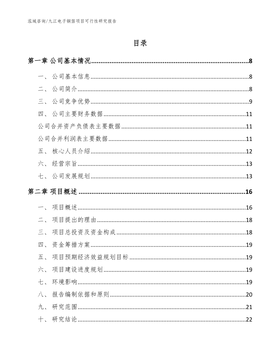 九江电子铜箔项目可行性研究报告【范文参考】_第1页