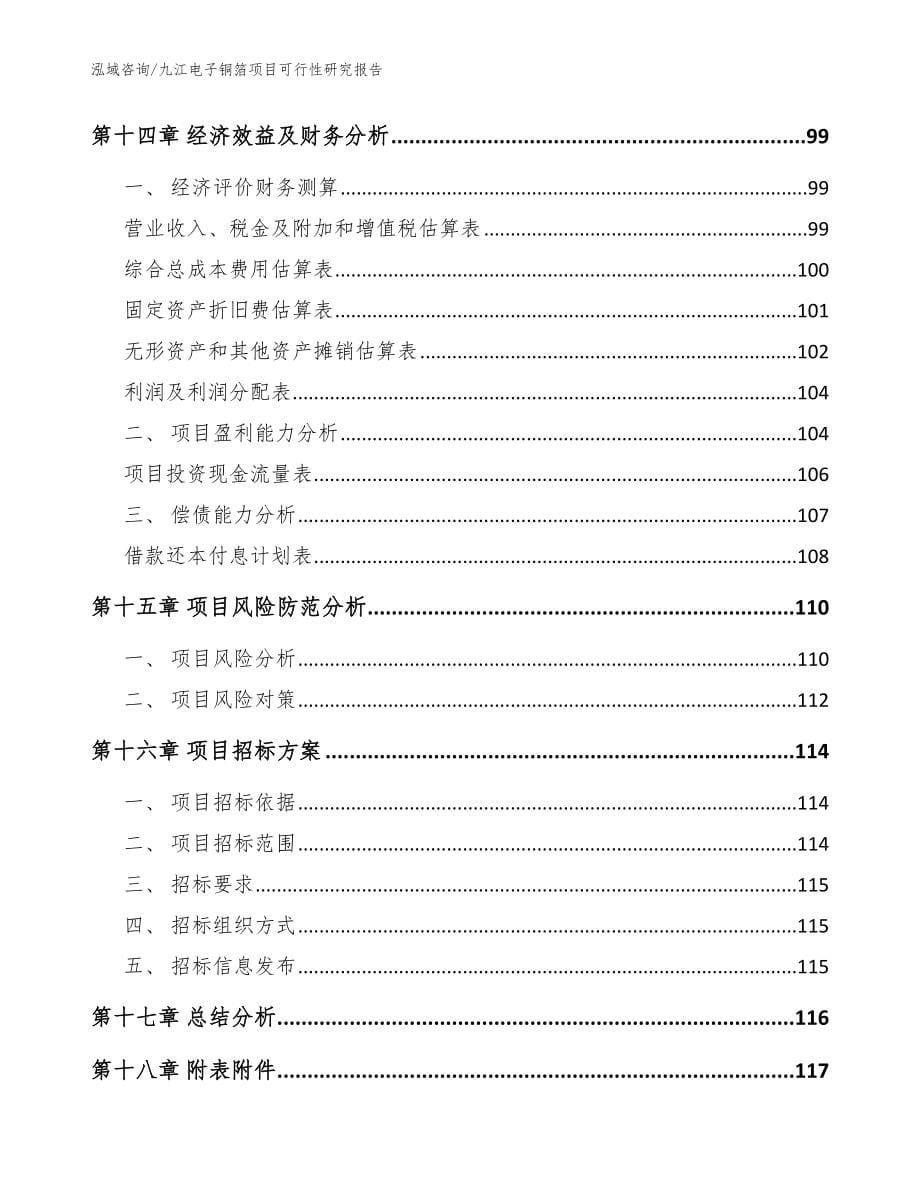 九江电子铜箔项目可行性研究报告【范文参考】_第5页