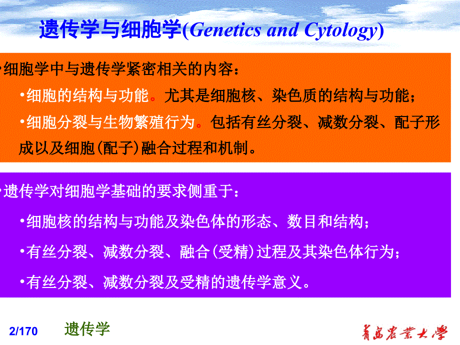 遗传的细胞学基础(11)课件_第2页