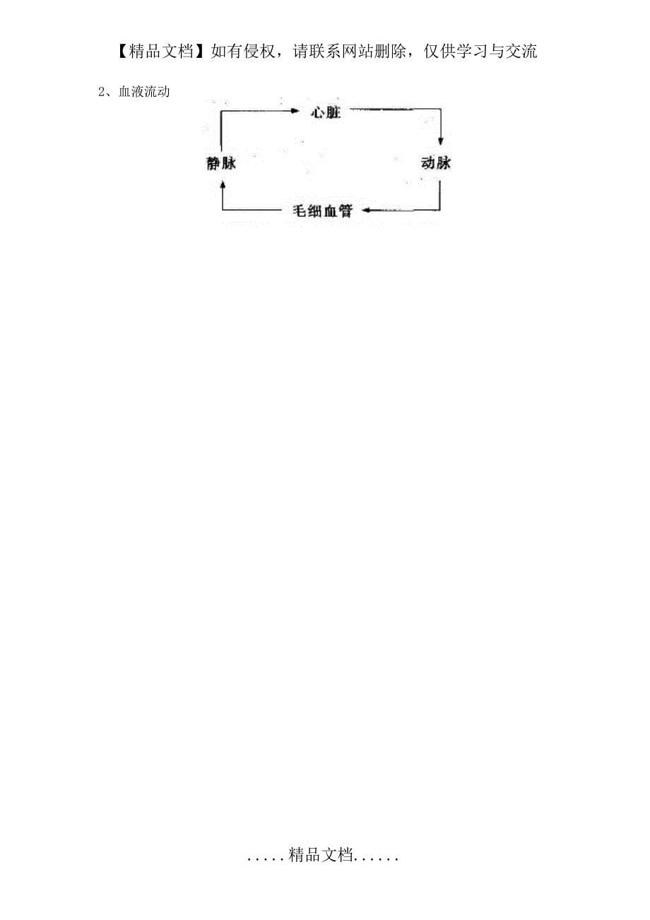 《血流的管道——血管》教案_第5页