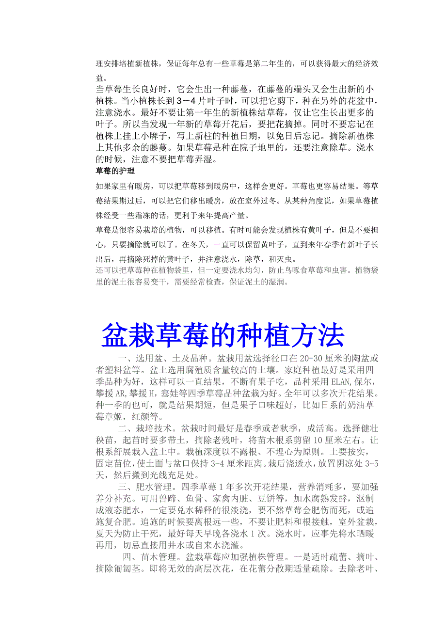 草莓种植方法.doc_第2页