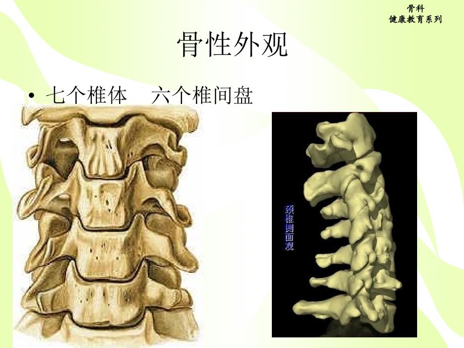 颈椎病健康教育_第4页