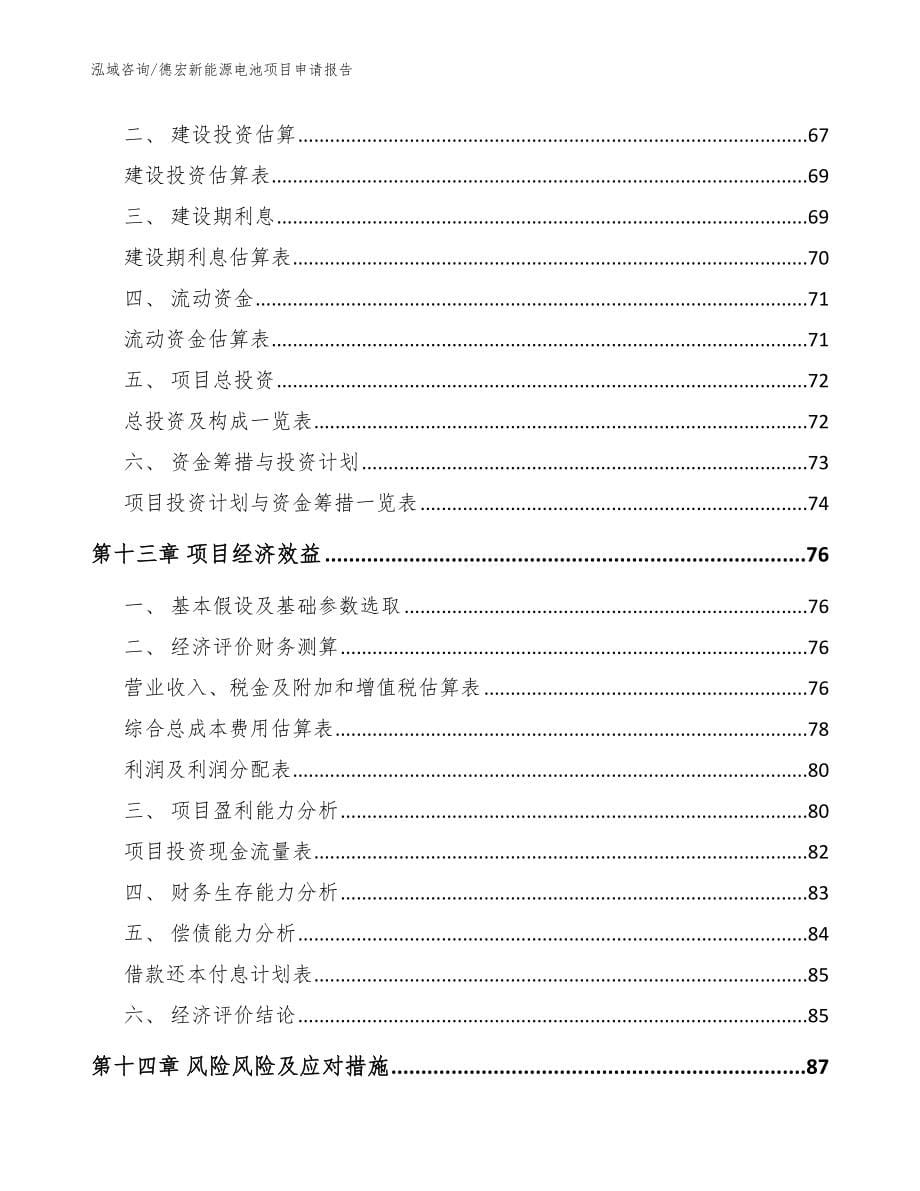 德宏新能源电池项目申请报告模板_第5页